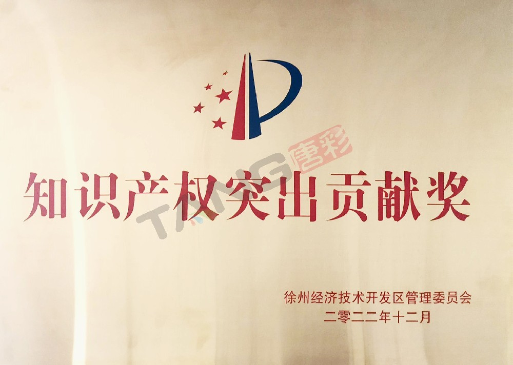 知識產(chǎn)權突出貢獻獎